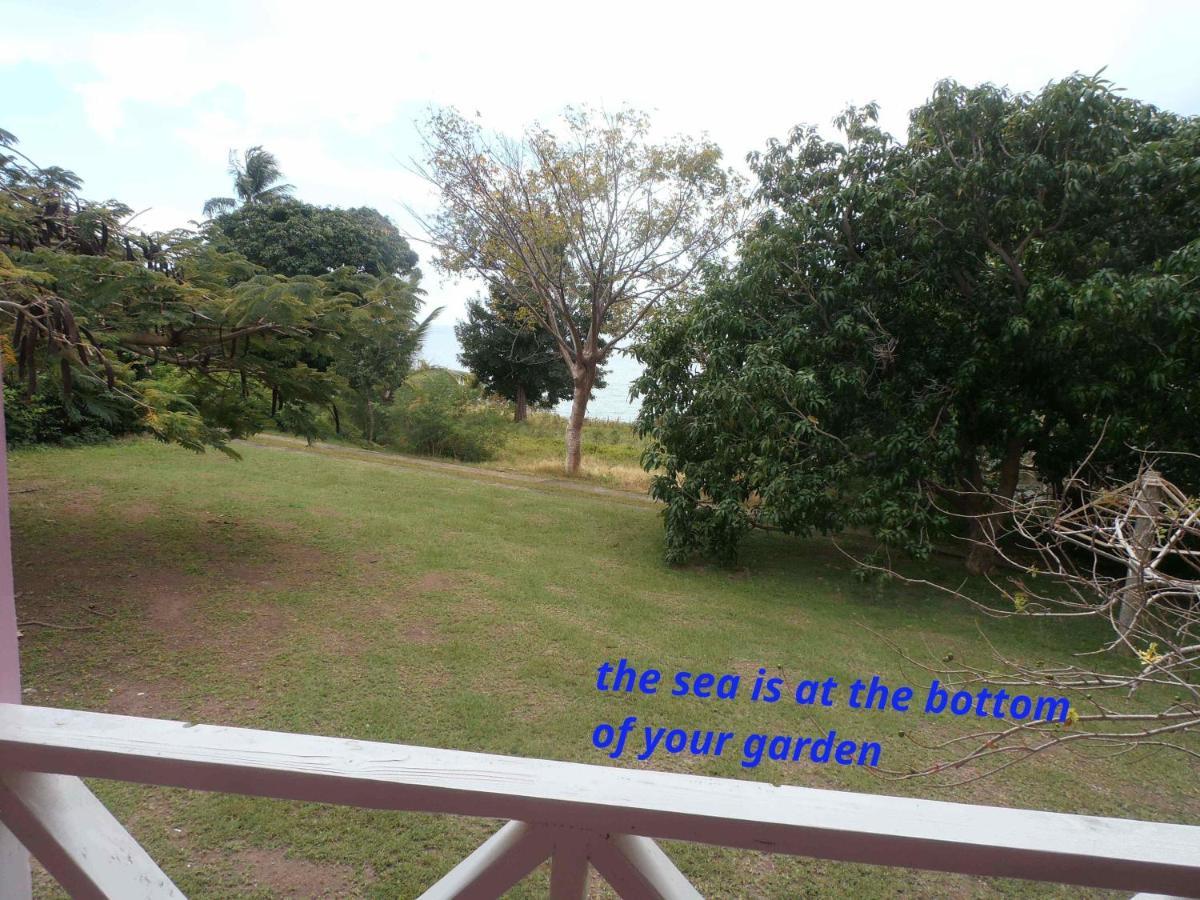 The Pink House Vila Choiseul Exterior foto
